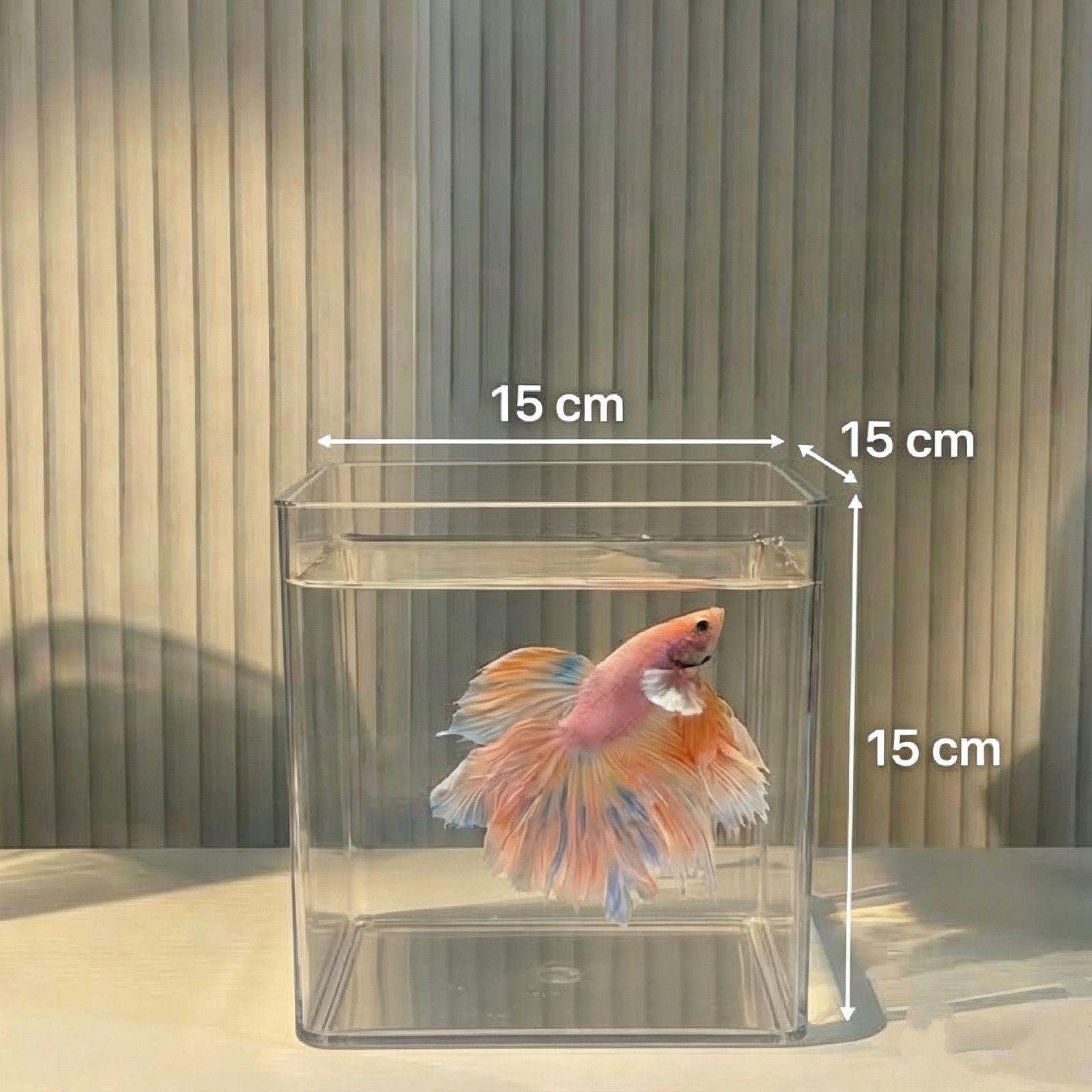 Acrílico rosa lámpara acuario con lámpara de escritorio ultra blanca atmósfera lámpara de oficina cuadrada ecológica paisajismo con cubierta acuario image 11