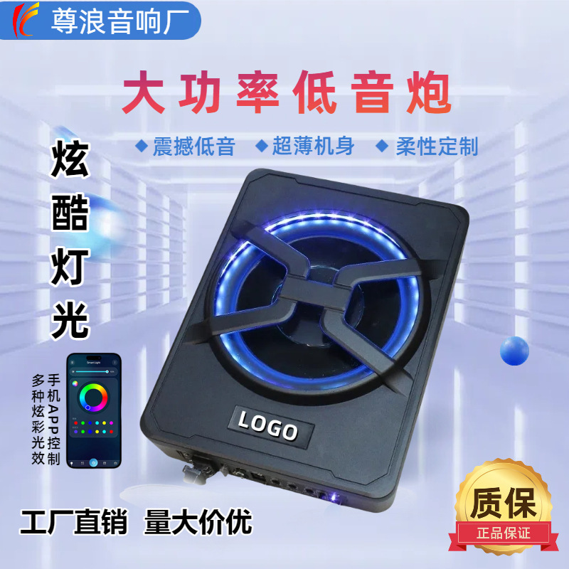 Factory Direct Sales Car Audio Subwoofer Active 10inch Under-Seat Ultra-Thin Subwoofer Speaker