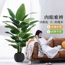 ����Gֲ�����Bֲ���p���҃ȴ��ͷ������Ԕ[���͏d�b���ؼٻ���