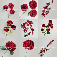 �tɫϵ���滨��c�Y�û�܇���滨�Ƶ����޾W�t��õ���ٲ�����