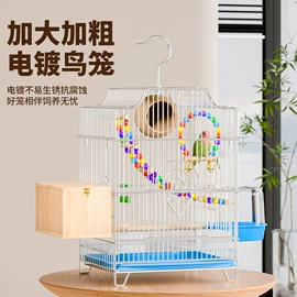 其他小宠用品;鸟笼;鸟食