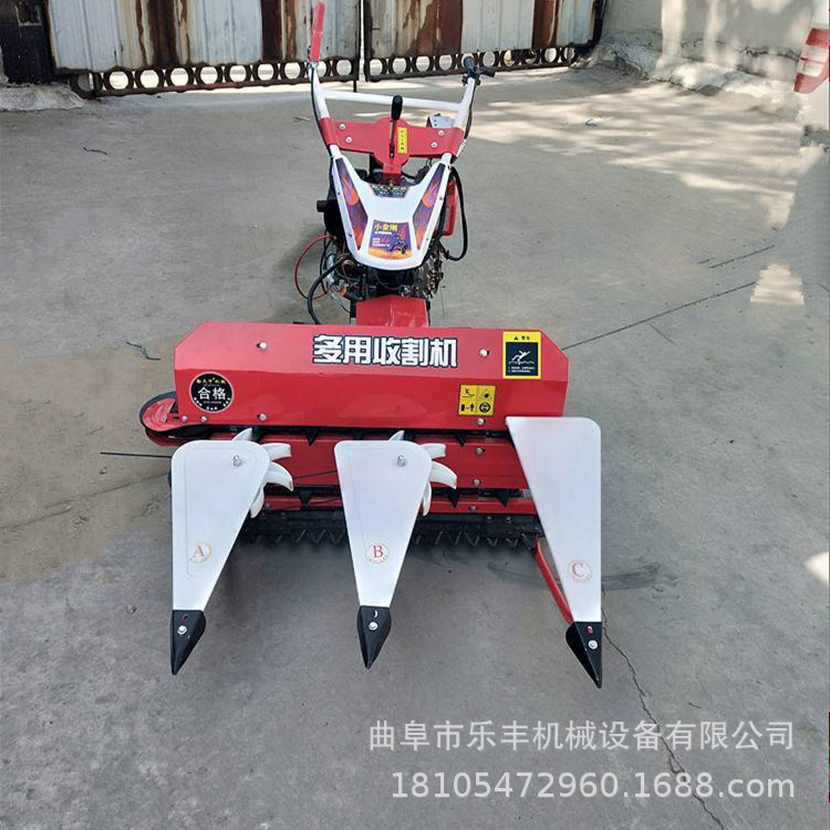 微信图片_20250218130544_副本