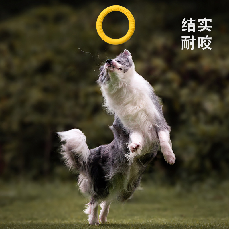 Meianju 噛みつきにくいソフトプルリングフリスビー犬トレーニング TPR 素材浮遊犬トレーニングインタラクティブペットおもちゃ|undefined