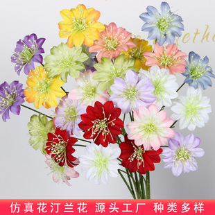 �¿����͡�m���Wʽ�F��ɏ��Y����̨�����bٻ��Ҿӽ�����