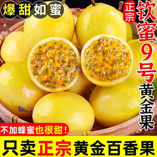 �J��9̖�V���S�������ش�����r�����ЋDˮ��1/3/5��������]