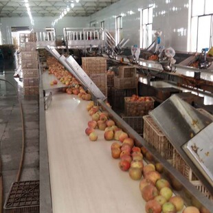�S�Ҷ��Ʋ��P䓹������a�� �������T���a�� �O�������ӹ����a���C