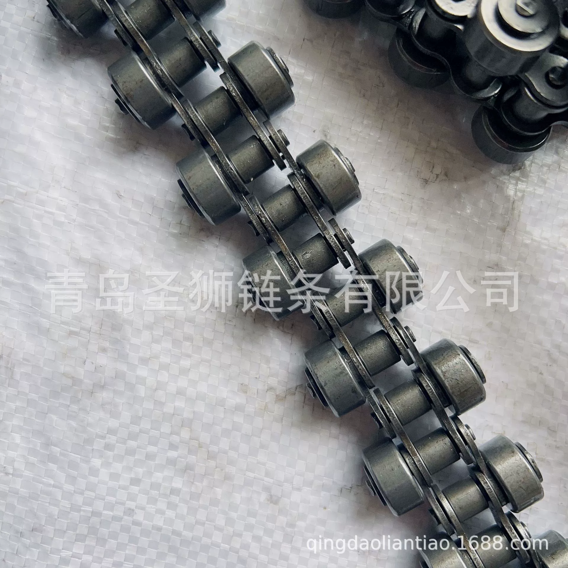 Цепная линия цепь транспортера ролика тысячи птиц параллельная Бортовая