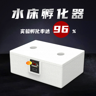Water bed incubator small household mini incubator automatic intelligent bird egg rutin chicken incubator