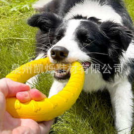 eva宠物玩具拉环耐咬弹力互动训练狗狗拔河宠物用品训犬大拉环