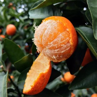 �޽�ɰ���������������ۘ����Ե��ԟo�����ٹ�����箔��Y��