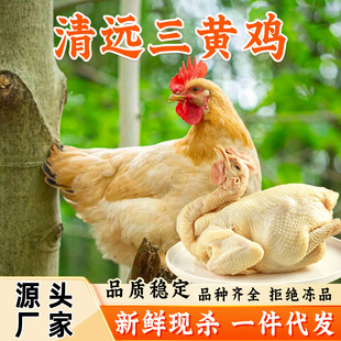 ���r���h�ߵ��u���u��ֻ������S�u�S���u���r�חl�u���r�u�����l