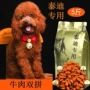 棕色牛肉味成犬