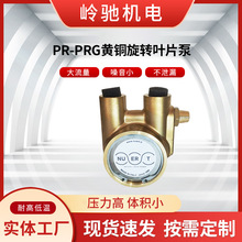 PR-PRG黄铜旋转叶片泵批发工程机械液压站静音油泵高压叶片泵