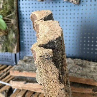 ��Ȼ��Ƥ�����m¹��ާ����������ܛľ��Ƥ�̶���ʯ���m���Nֲ��