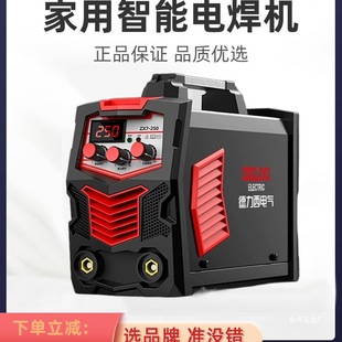 [Delixi 862] Welding Machine 220V Household 380V All-Copper 250 15.75kg Portable Small Double Gold