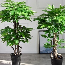 发财树盆景真树杆人造植物落地家庭布景花卉入户花园
