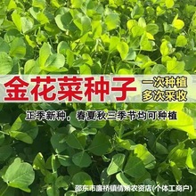 𻨲˷NӴȫϺ^~߲˷NԭbNӴȫll