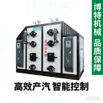 生物质蒸汽发生器一吨无烟无尘电加热颗粒锅炉工业燃气蒸气发生器