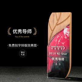 水晶奖杯实木刻字彩印彩色新款公司年会颁奖