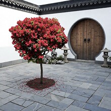 ����t�����\����ͥԺ�L�����҃��⹫�@�����̨�������ʽ�b�