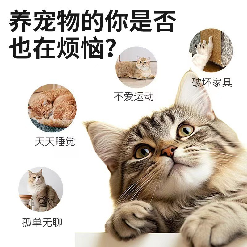 新品猫咪弹力球羽毛逗猫球羽毛抛掷猫咪橡胶球宠物用品批发|undefined