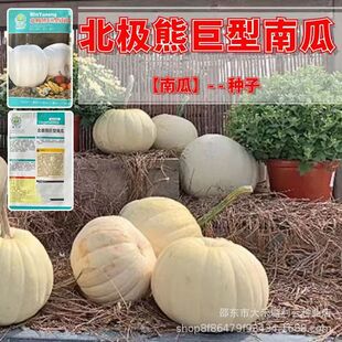 ���O�ܾ����ϹϷN���ش��ϹϷN����Ʒ�N�^�pʳ���߲˷N���߲���