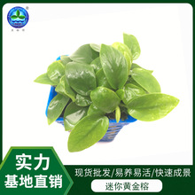 �����S��С��ˮ�ݻ��w�^�p�~��ˮ�����쾰ˮ���ͷő��˲����B�׻�