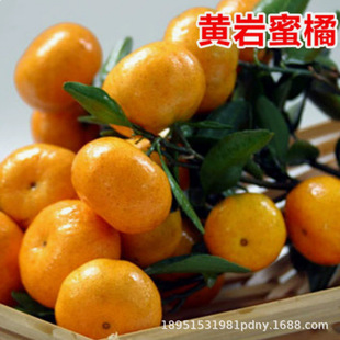 �S���۽ۘ��� �޽����������ɰ�ǽ������ĕ�ɰ�ǽ� ����Y��