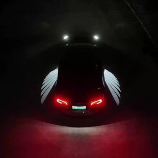 Suitable for Tesla Model 3/Y, New 3/Y Angel Wing Lighting Strip Modification
