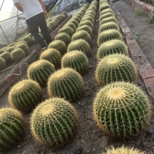 ���������������ƶ��^�𻢮a�� �Ϻ��쾰ֲ������������w�r��