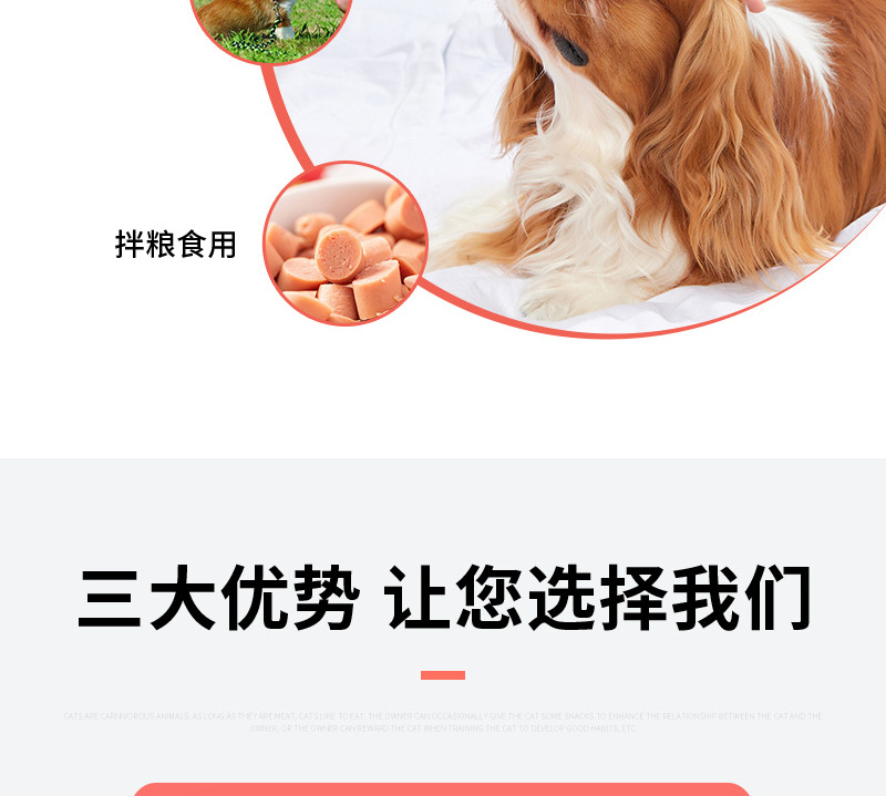 狼狗王详情3——牛肉粒牛肉棒_05.