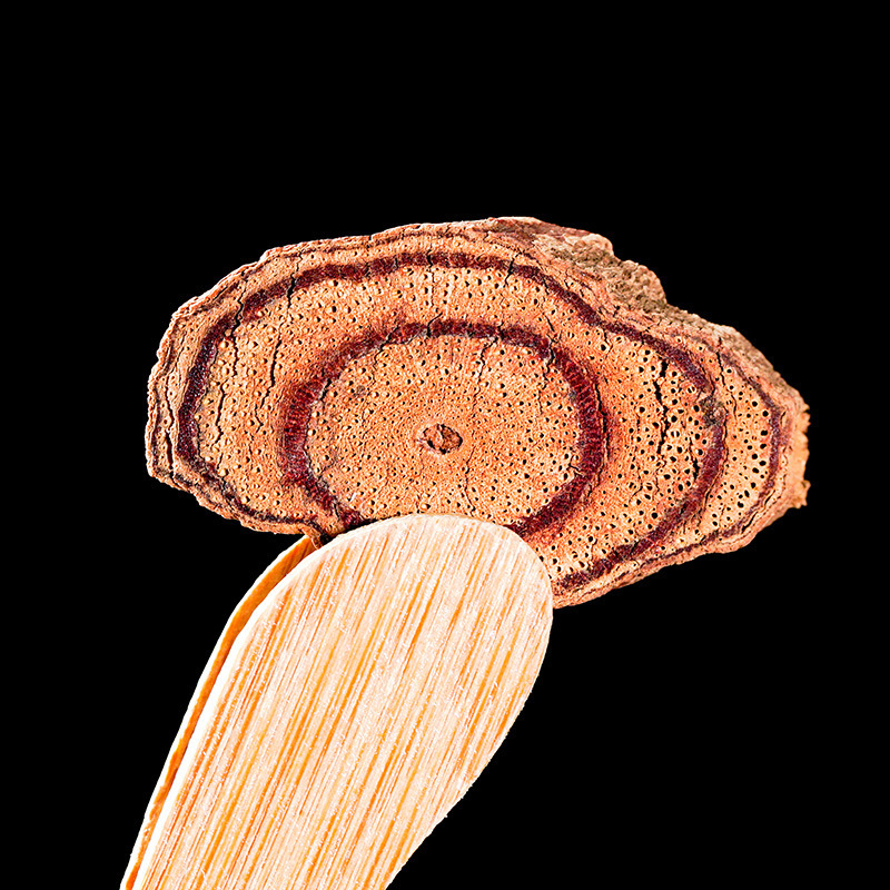 Dried Spatholobus Suberectus Stem Ji Xue Teng Chinese Herb 500g for Decoction and Herbal Soup quality and texture