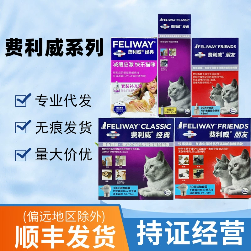 Серия Filiwei Классический набор друзей