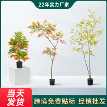 羳lGֲ͏dɢβ{˽پGֲ쾰ϙ