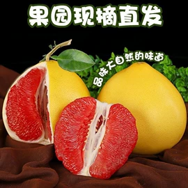 饼干;传统糕点;西式糕点