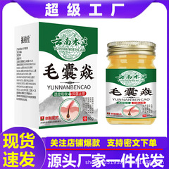 雲南の本草の皮膚は毛の袋を点検します。毛の袋の皮膚はかゆいです。