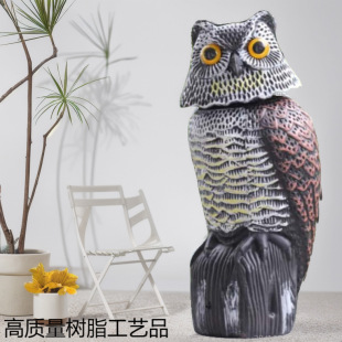 ����@����B�� ����؈�^���ɓu�^�����r���[��OWL,decoyҲ�����