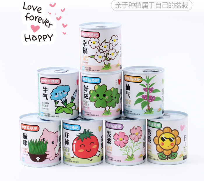 ֲް칫ҴɫСԻDIYֲѧͷƷ