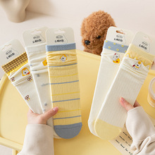 ���ı�����m��Ů����͸��o����Ͳ�m�¿ͨ�̽��LͲ�Ѷ��m