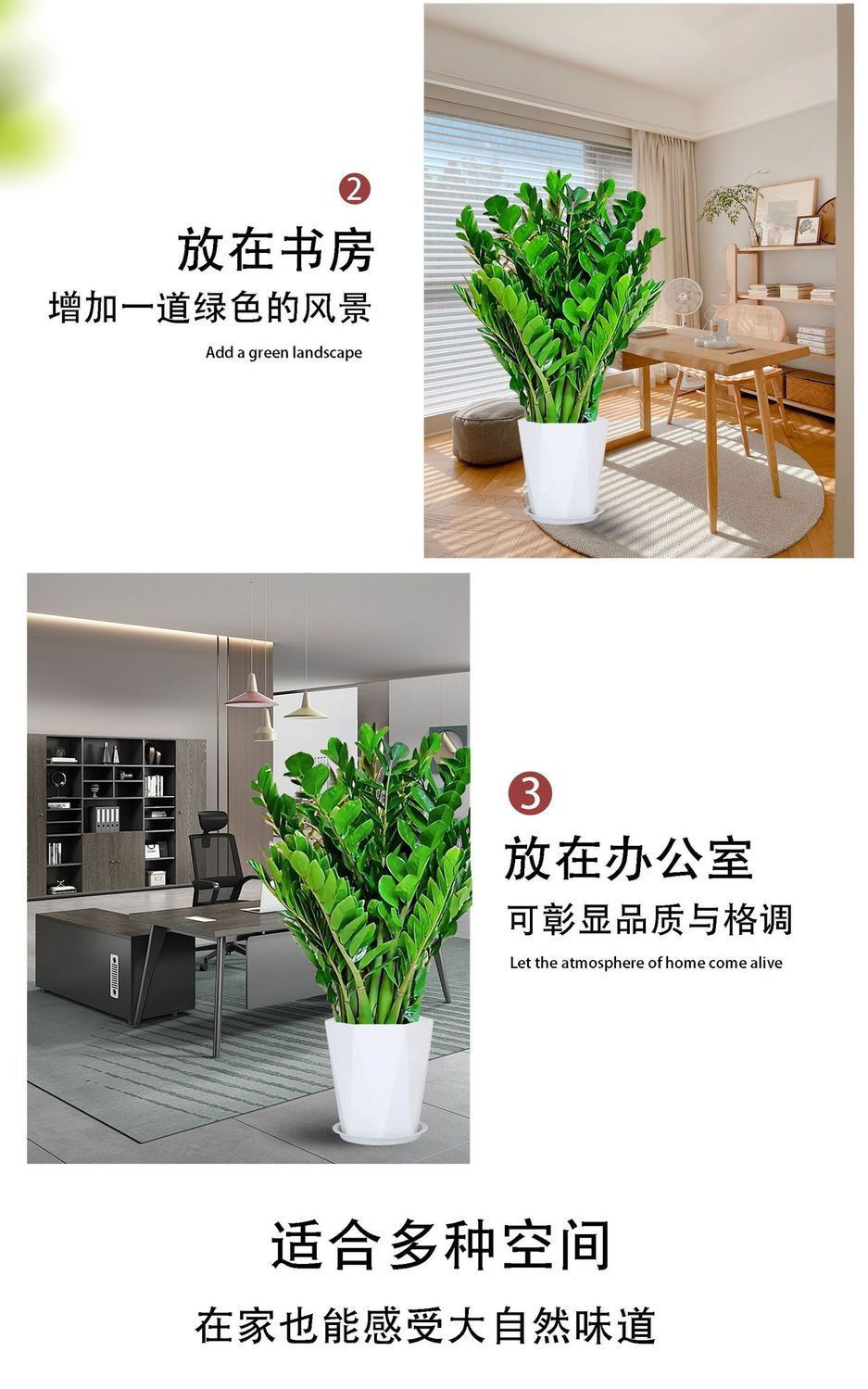 de284d28-00a3-4fcc-855b-62751038a1c5.jpe