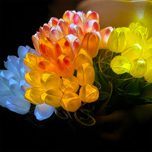 �羳������������滨LEDСҹ�������l�⻨���Շ����Ҿ��b�̨��