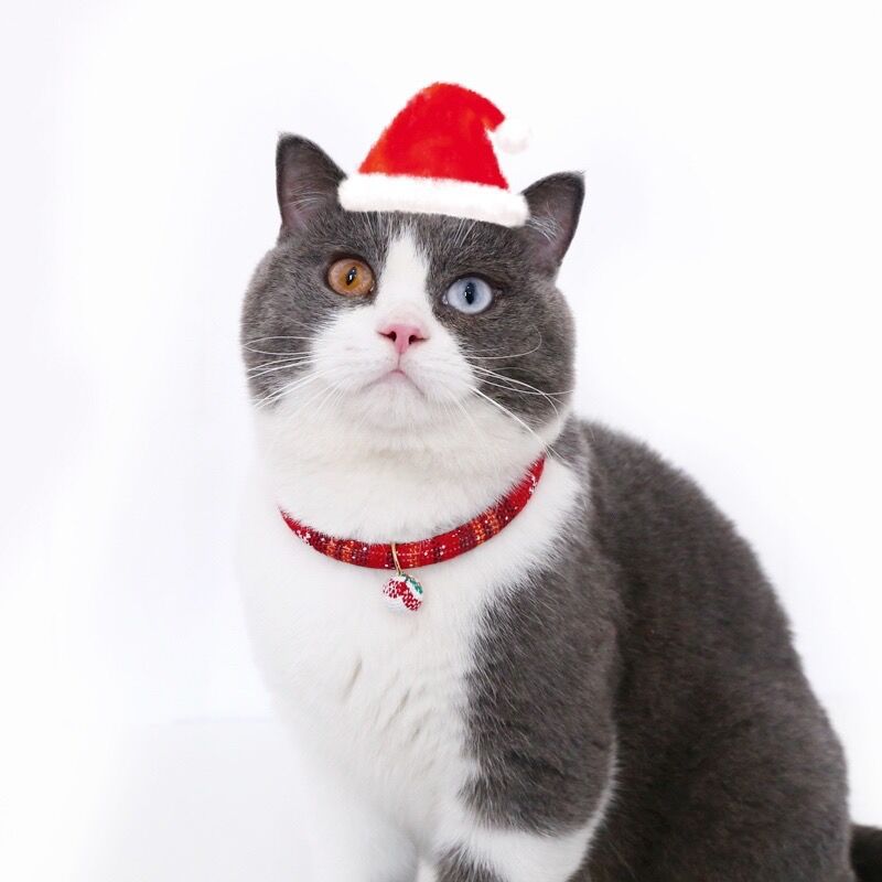 Guantes de Navidad para mascotas collares ajustables para gatos y perros collares de nieve para perros accesorios de cadena