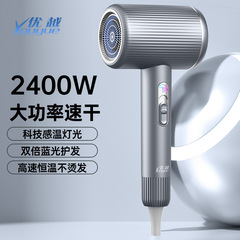 New High-Speed Hair Dryer for Home Use, Blue Light High Power Negative Ion, Damage-Free Generator Hair Dryer, Hotel-Specific, Wholesale