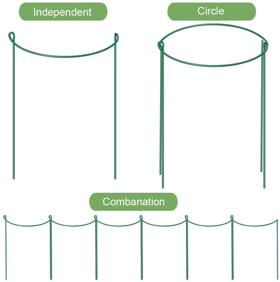 51UWyGm1lzL._AC_SL1000_