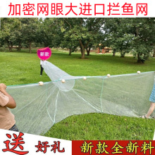 新款大进口渔网拦鱼网八字网虎口网拖网捕鱼网折叠鱼笼小眼拦鱼网