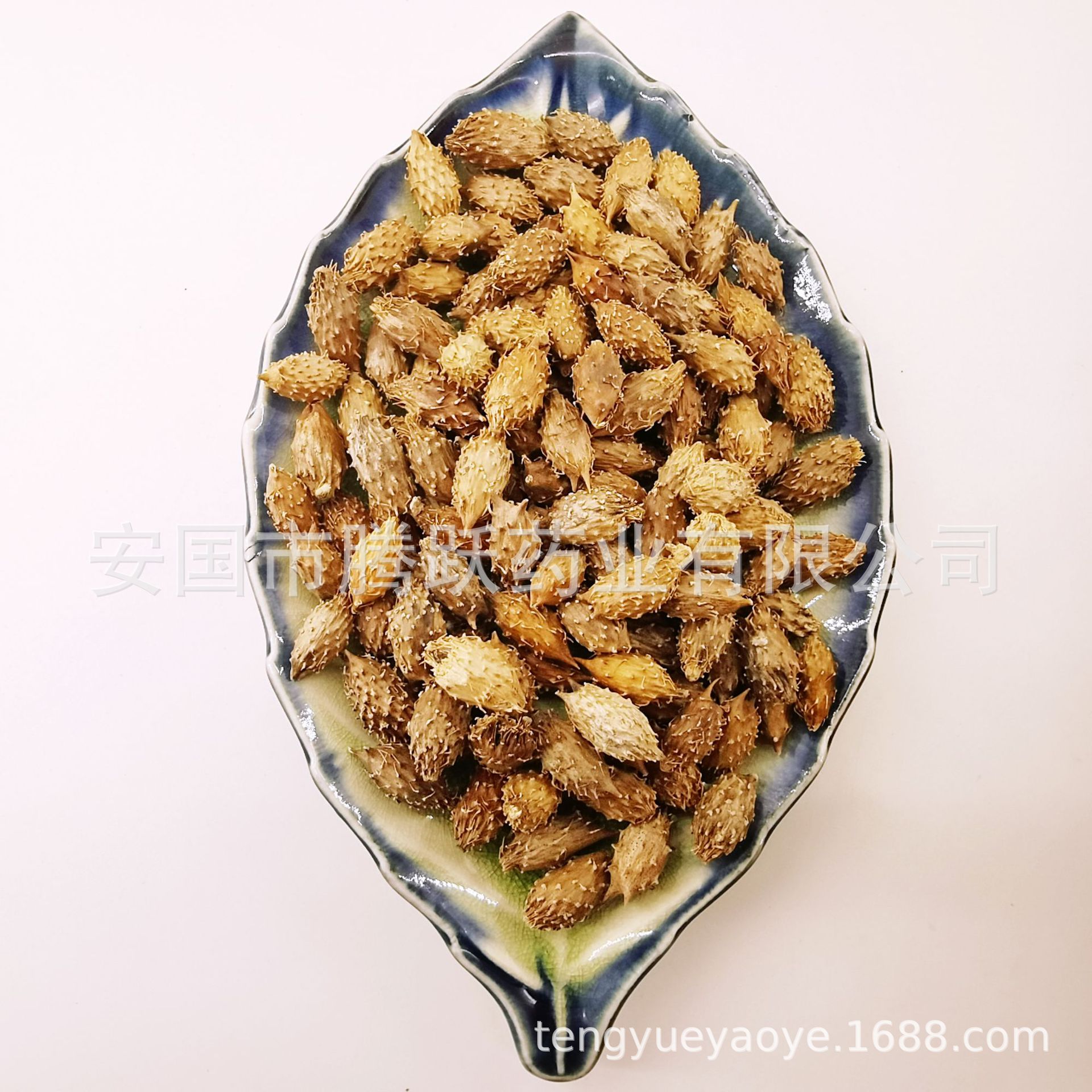 Cang Er Zi Dried Xanthium Fruit Whole Form Traditional Chinese Herb 500g Bag quality and texture