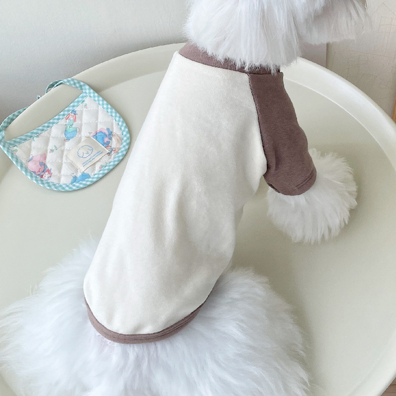 Camisa de algodón de manga a juego de color para mascotas cachorro gato ropa Corea del Sur Japón 23 nuevos fabricantes en stock verano Otoño e Invierno