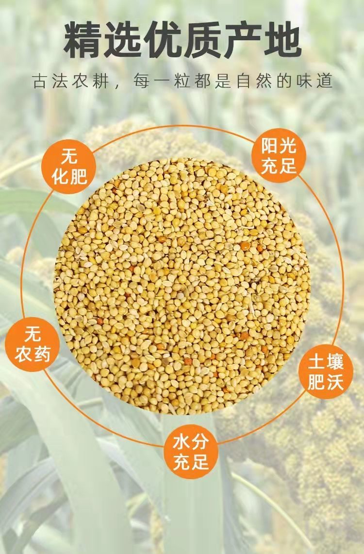 3615de5d-bebd-4dda-b65c-4e1fd91f55d5.jpe