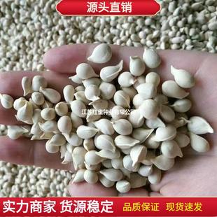 �²����ٷN���ך��N���۽۷e������ȼt�ٷN�Ӽ޽Ӵuľ���̻h�ʠ�