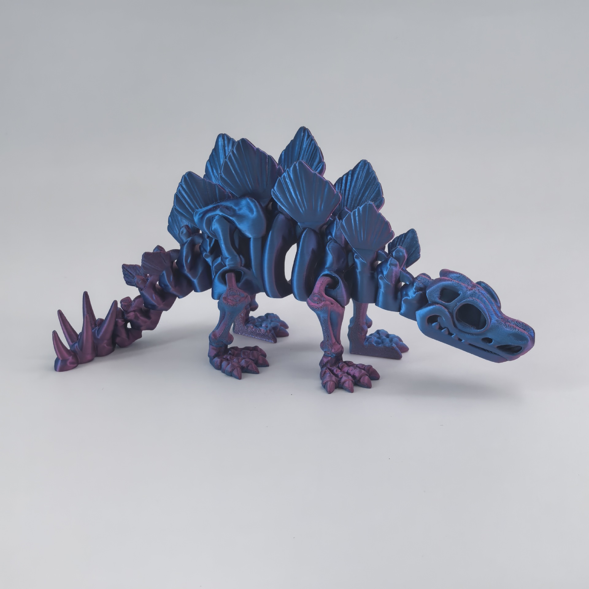 스테고사우루스 - 빨간색과 파란색